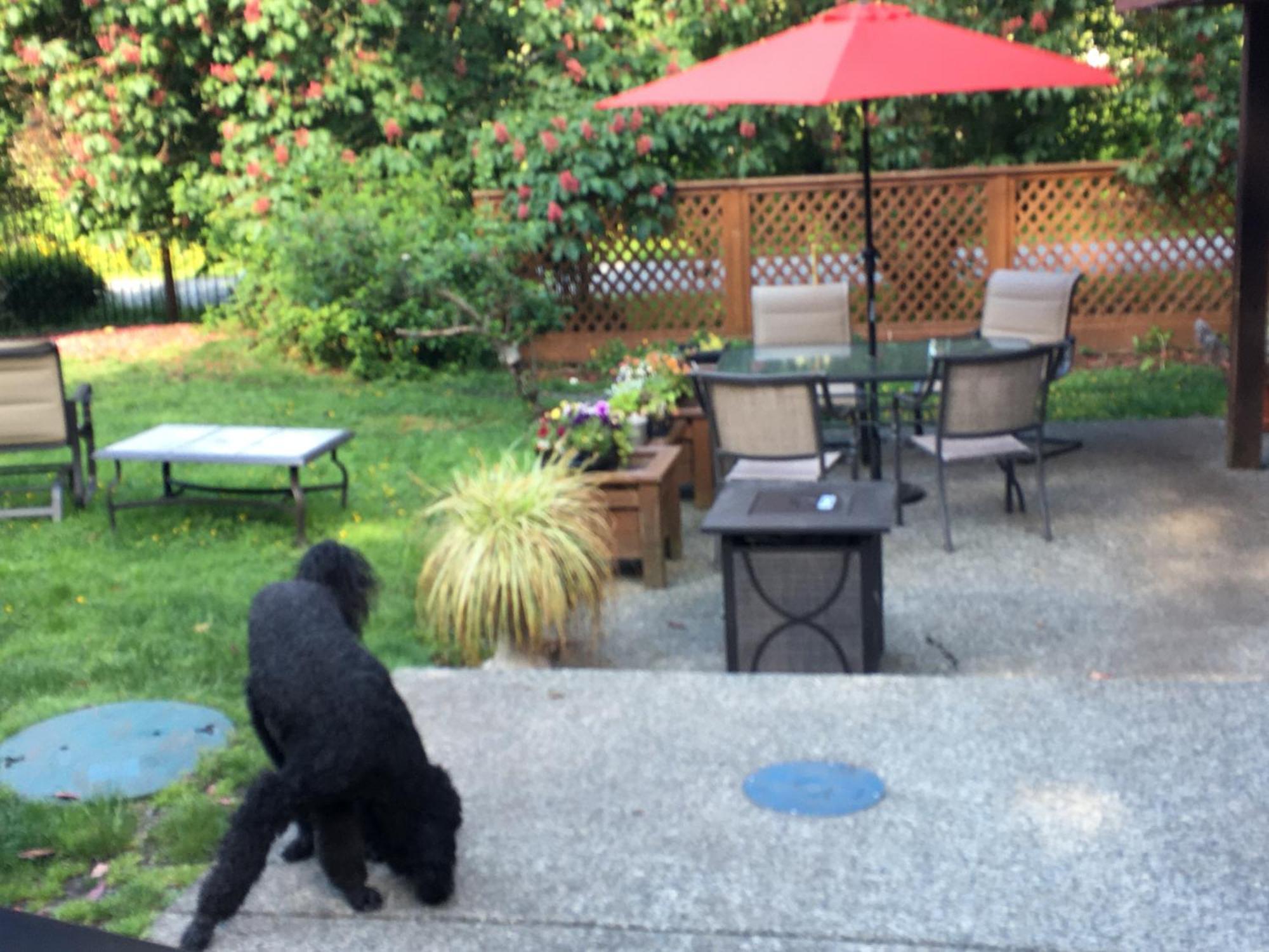 فيلا Coles Bay Vacation Retreat North Saanich المظهر الخارجي الصورة