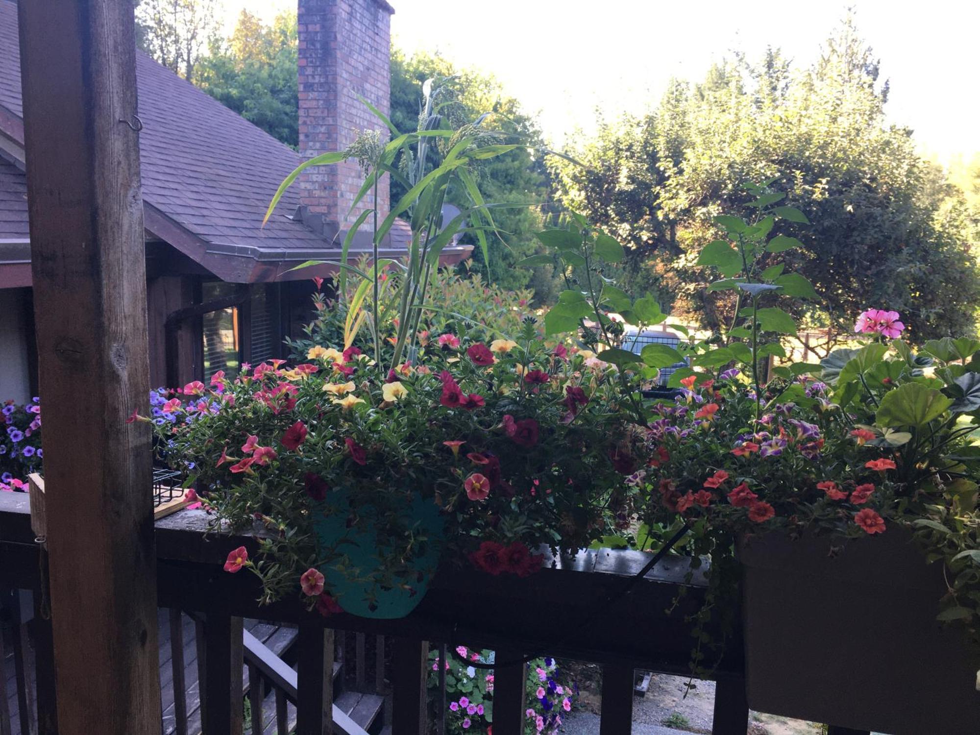 فيلا Coles Bay Vacation Retreat North Saanich المظهر الخارجي الصورة