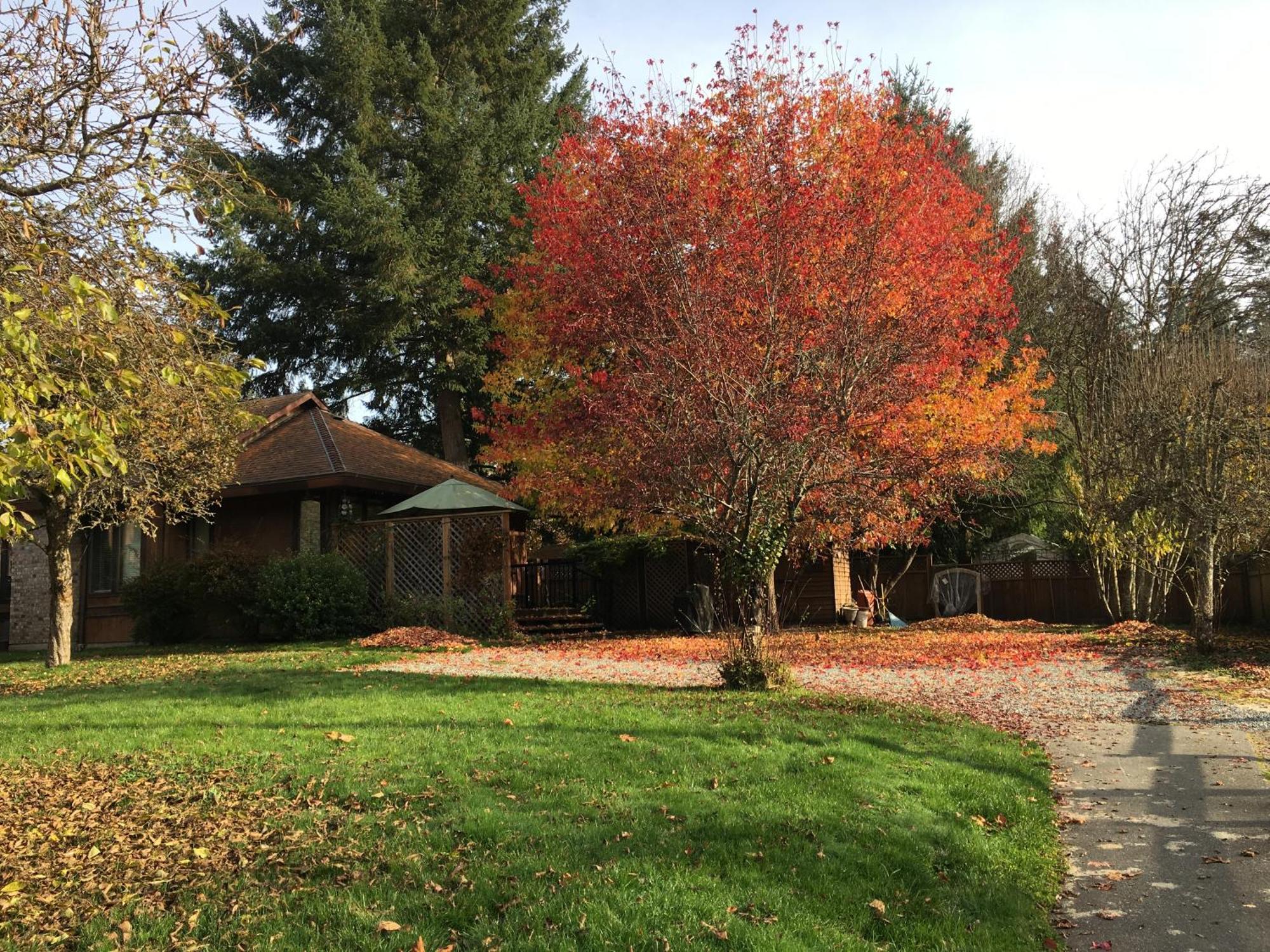 فيلا Coles Bay Vacation Retreat North Saanich المظهر الخارجي الصورة