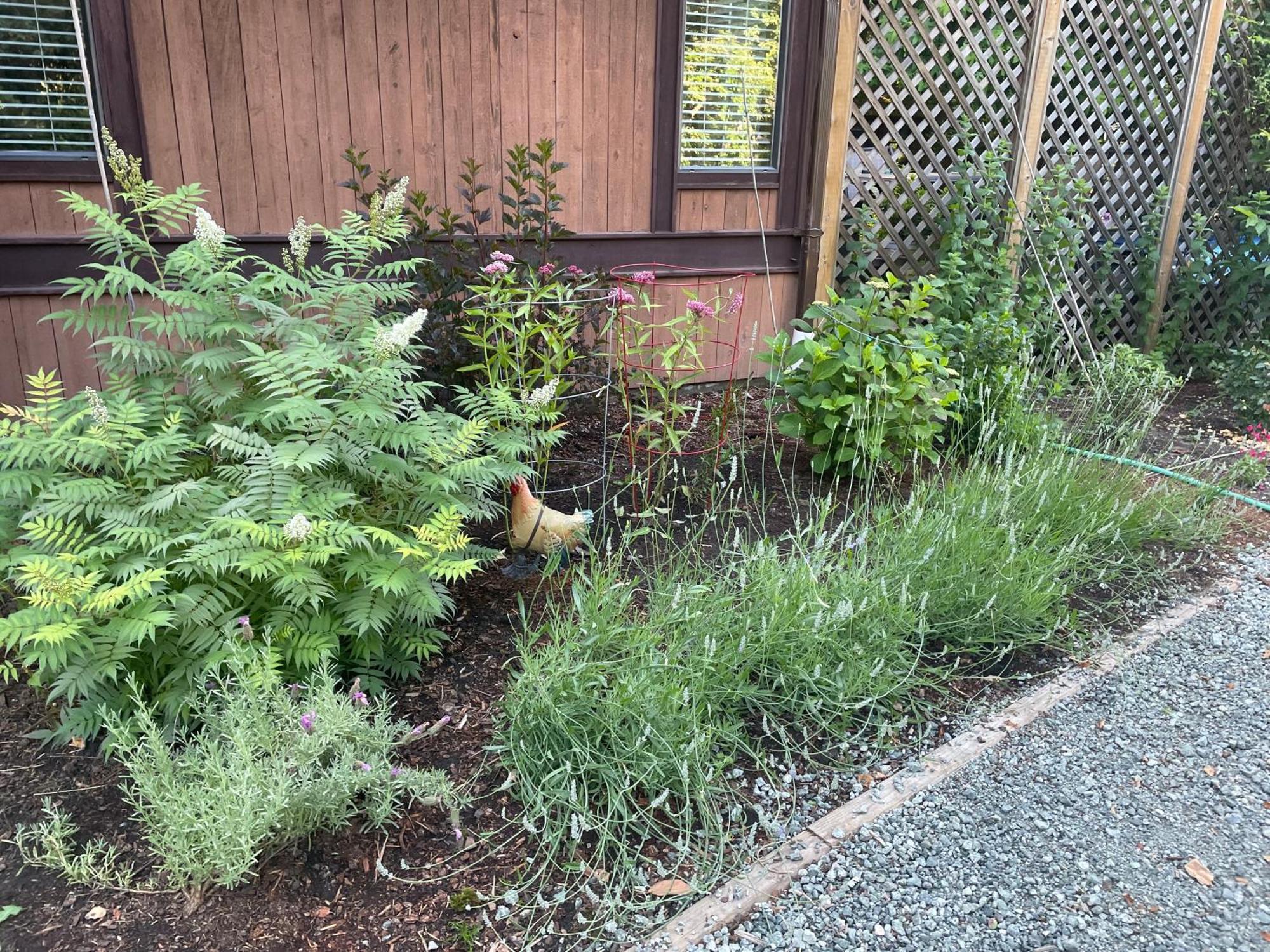 فيلا Coles Bay Vacation Retreat North Saanich المظهر الخارجي الصورة