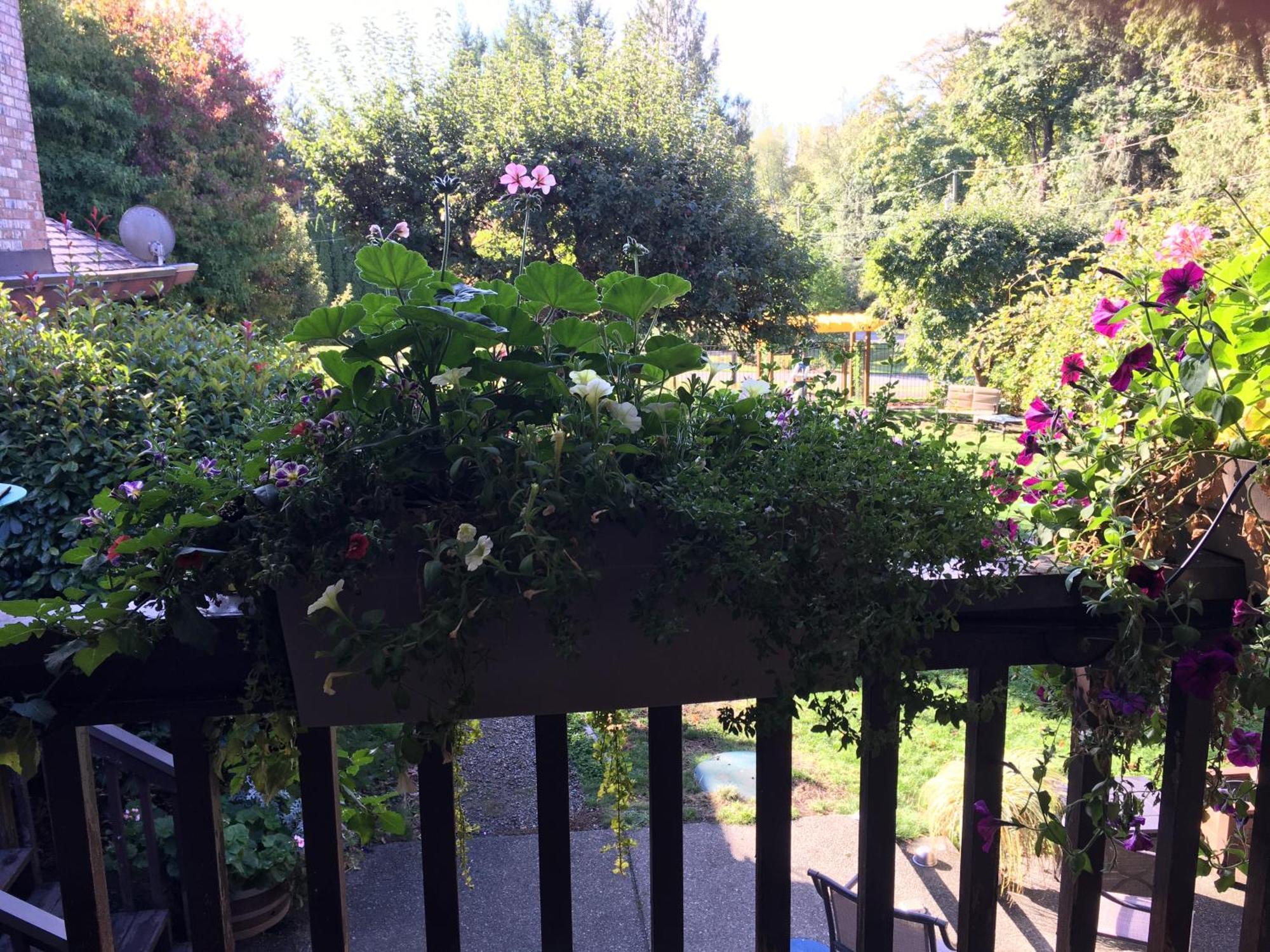 فيلا Coles Bay Vacation Retreat North Saanich المظهر الخارجي الصورة