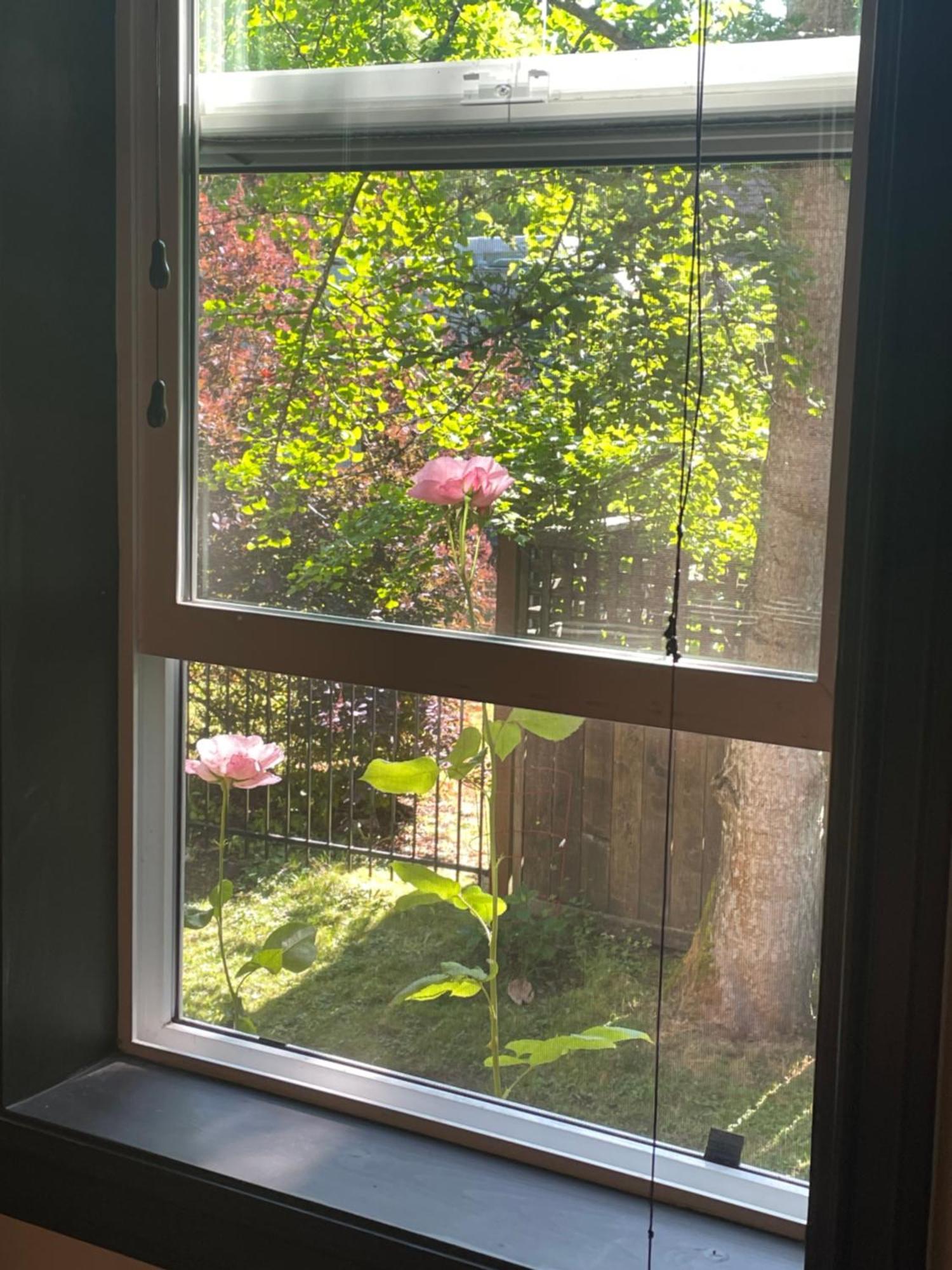 فيلا Coles Bay Vacation Retreat North Saanich المظهر الخارجي الصورة