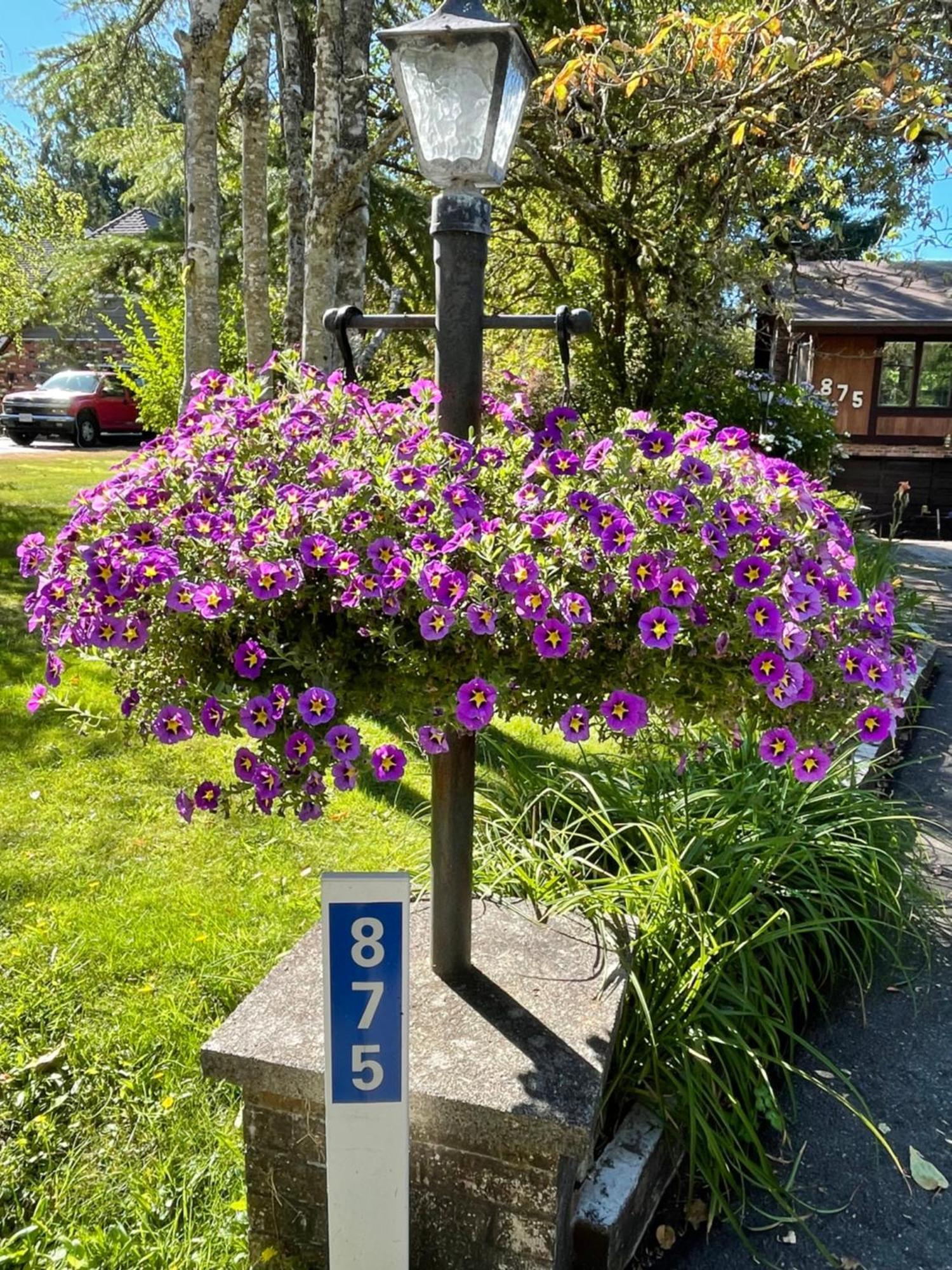 فيلا Coles Bay Vacation Retreat North Saanich المظهر الخارجي الصورة
