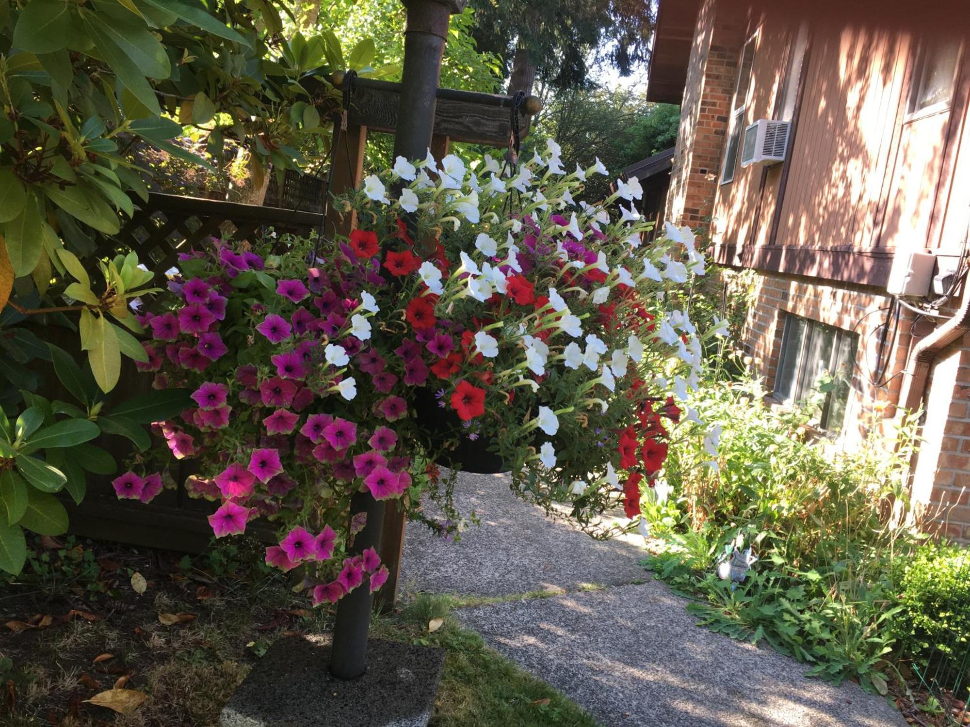 فيلا Coles Bay Vacation Retreat North Saanich المظهر الخارجي الصورة