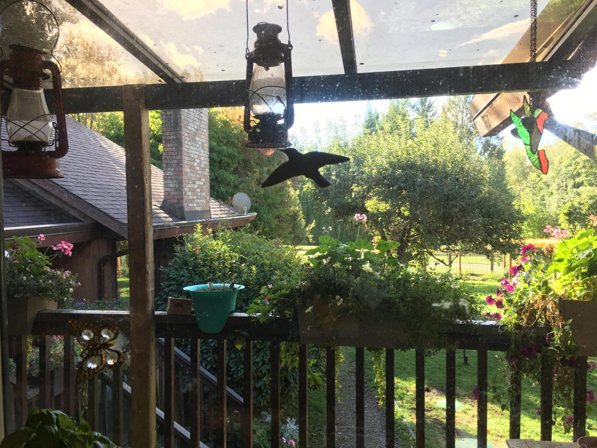 فيلا Coles Bay Vacation Retreat North Saanich المظهر الخارجي الصورة